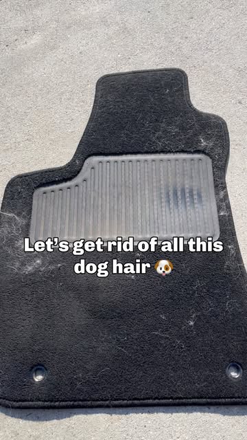 Pet Hair & Stains